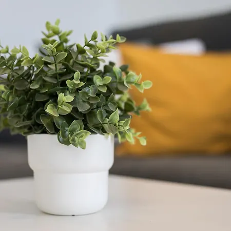 Barca Sunset Appartamento Lajita