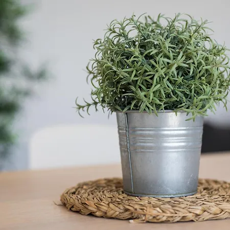 Appartamento Barca Sunset Lajita